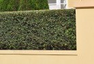 Shallow Bayhard-landscaping-surfaces-8.jpg; ?>